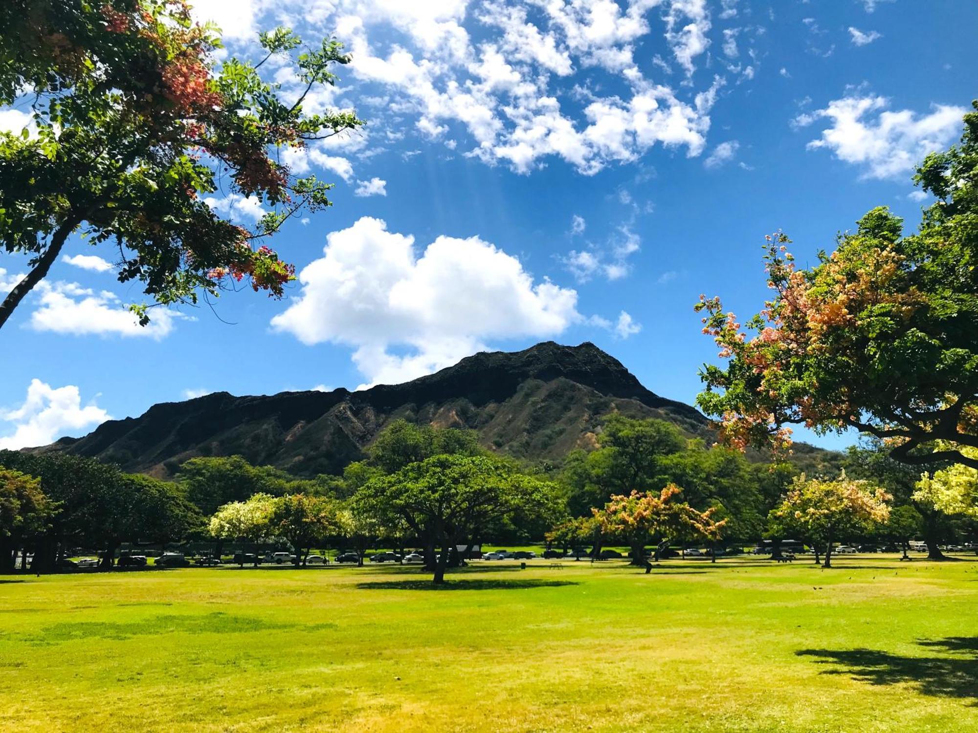 Royal Kuhio 1606 - Spacious Studio With Diamond Head City Views In The Heart Of Waikiki! Honolulu Extérieur photo